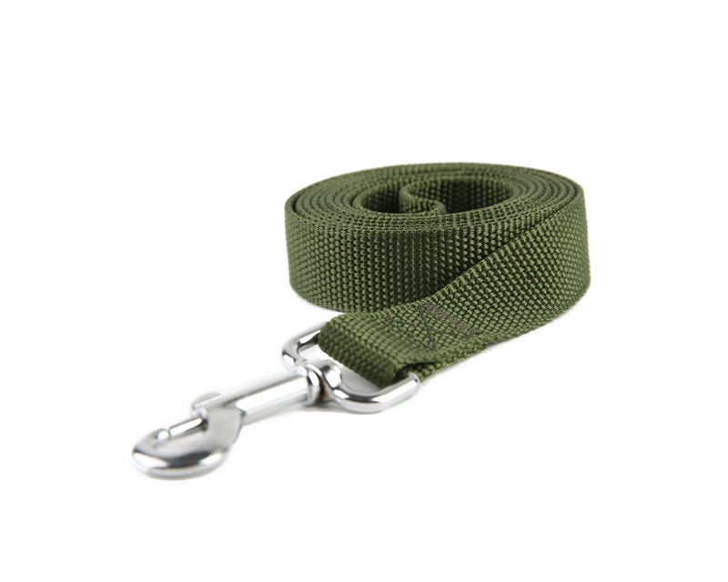 Taida Strong Nylon Dog Leash, for Medium Large Dogs Walking, Training or Exploring, 10 feet Long 1 inch Wide - Image 1